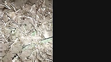 Siliguri young Bengali randi hot outdoor night sex with two guys